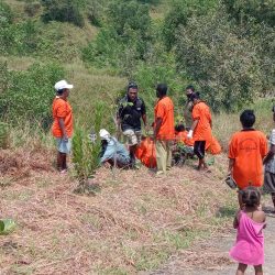 Cegah Banjir dan Tanah Longsor, Warga Worot Gelar Penanaman Pohon