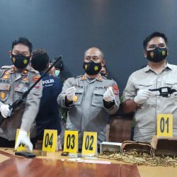 Polisi Tangkap WT, Seludupkan Senpi Bersama Ratusan Amunisi