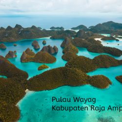 Promosi Wisata 5 Kabupaten dan 1 Kota Di Provinsi  Papua Barat Daya