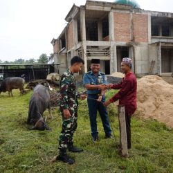 Rayakan Idul Adha 1446 Hijriah Koarmada III Bagikan 16 Ekor Sapi dan 2 Ekor Kambing Hewan Kurban