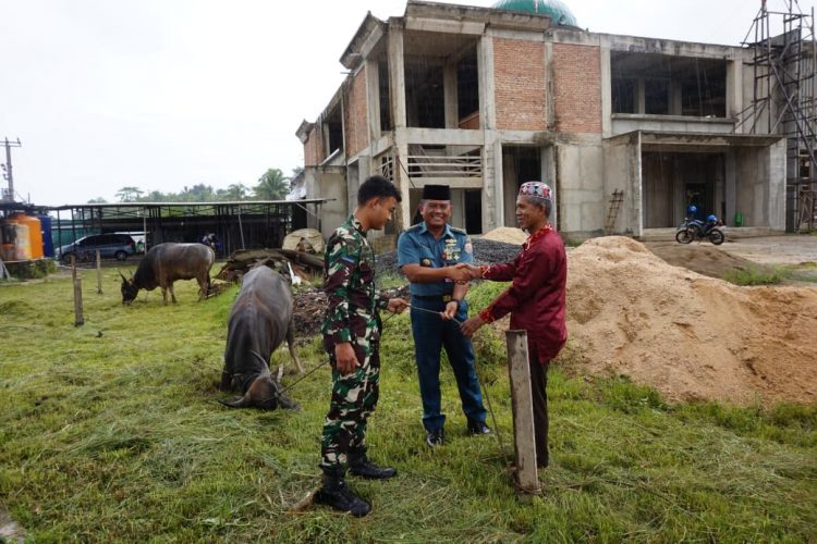 Rayakan Idul Adha 1446 Hijriah Koarmada III Bagikan 16 Ekor Sapi dan 2 Ekor Kambing Hewan Kurban