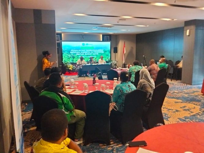 2,5 Juta Hektare Hutan Di PBD Diluar Hutan Konservasi Bisa Mendapatkan Sumber Pendanaan Iklim