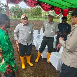 9 Kelompok Ayam Petelur Terima 600 Ekor Ayam