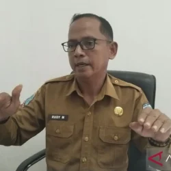 Kepala Bidang Pengembangan dan Pengawasan Koperasi Dinas Koperasi dan UMKM Kota Sorong, Rudy Marlisa di Sorong. (foto: antara)