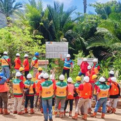 Konservasi Penyu Hingga Praktik Pengolahan Tambang Nikel di Pulau GAG