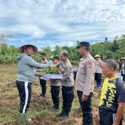 Penanaman UWI Ungu Oleh Polda Papua Barat Daya