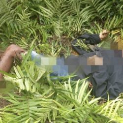 4 Tenaga Kesehatan Diserang OTK di Tambrauw, Dua Orang Tewas