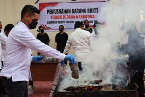 Polda Papua Barat Musnahkan Barang Bukti Narkotika Jenis Ganja