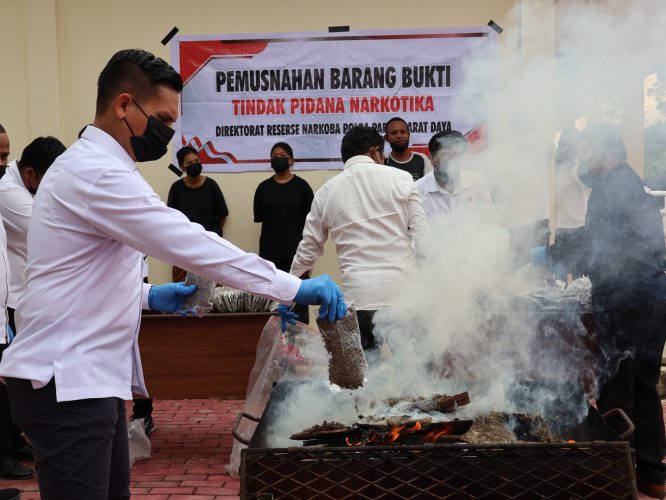 Polda Papua Barat Musnahkan Barang Bukti Narkotika Jenis Ganja