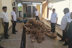 Pelaku Perdagangan Satwa Dilindungi Adalah Residivis