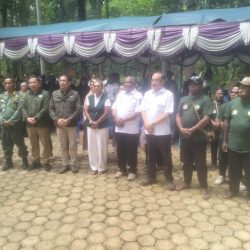 Selamatkan Hutan Di Papua Barat Daya,RJK Minta Operasi Hutan Lestari Kembali Dilakukan