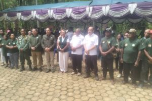 Selamatkan Hutan Di Papua Barat Daya,RJK Minta Operasi Hutan Lestari Kembali Dilakukan
