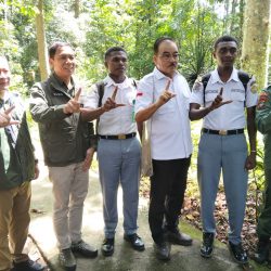 Operasi Hutan Lestari Bakal Kembali Dilakukan di Tanah Papua