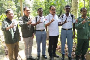 Operasi Hutan Lestari Bakal Kembali Dilakukan di Tanah Papua
