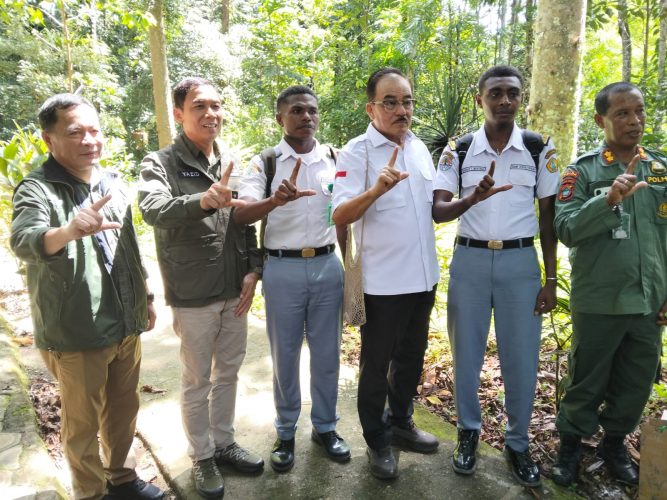 Operasi Hutan Lestari Bakal Kembali Dilakukan di Tanah Papua