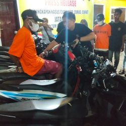 Dua Remaja Diringkus Opsnal Jatanras, 15 Motor Hasil Curian Diungkap Ditreskrimum Polda PBD