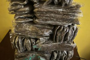 Polresta Sorong Kota Ungkap Kasus Peredaran Ganja, Barang Bukti 5,4 Kilogram Polresta Sorong Kota Ungkap Kasus Peredaran Ganja, Barang Bukti 5,4 Kilogram
