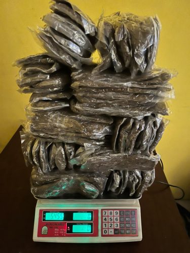 Polresta Sorong Kota Ungkap Kasus Peredaran Ganja, Barang Bukti 5,4 Kilogram