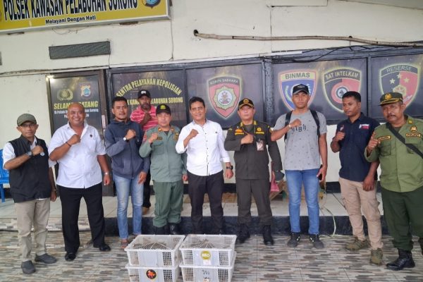 Ditpolairud Polda PBD Temukan 21 Ekor Burung Nuri Hitam Diduga Satwa Dilindungi Diatas Km Sinabung Ditpolairud Polda PBD Temukan 21 Ekor Burung Nuri Hitam Diduga Satwa Dilindungi Diatas Km Sinabung