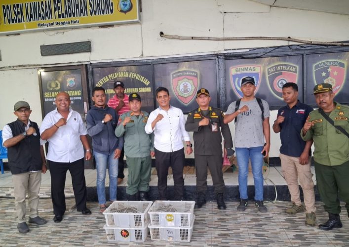 Ditpolairud Polda PBD Temukan 21 Ekor Burung Nuri Hitam Diduga Satwa Dilindungi Diatas Km Sinabung